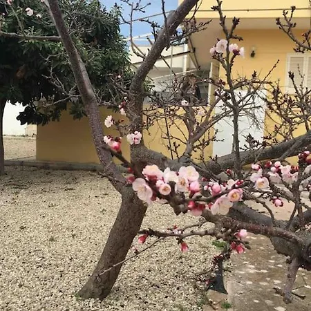 Casita Holiday home Torre Lapillo