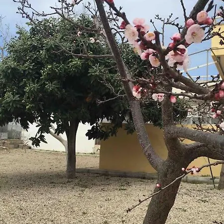 Casita Torre Lapillo